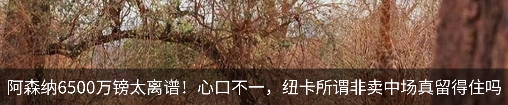资讯中心